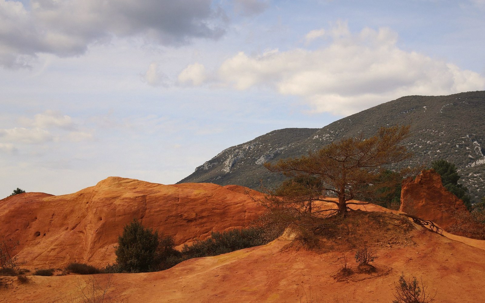 Ochre cliffs and a lone pine tree at the Colorado Provençal, with wooded hills behind