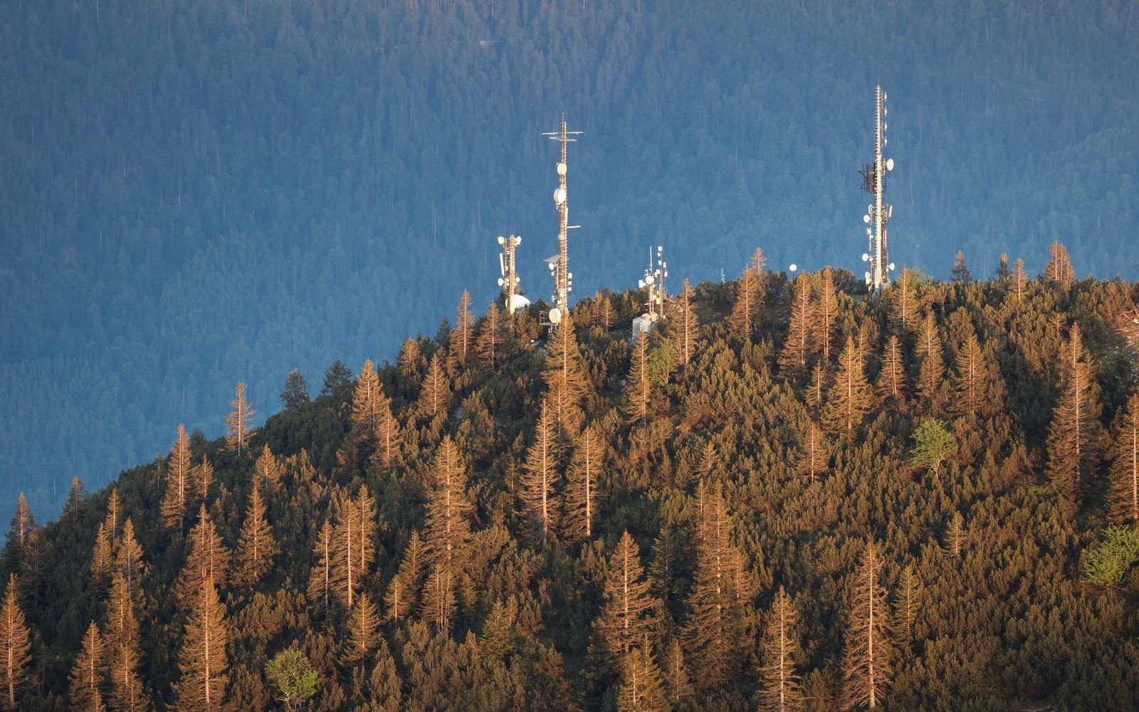 Communication towers cluster atop a forested ridge lit by golden evening sunlight