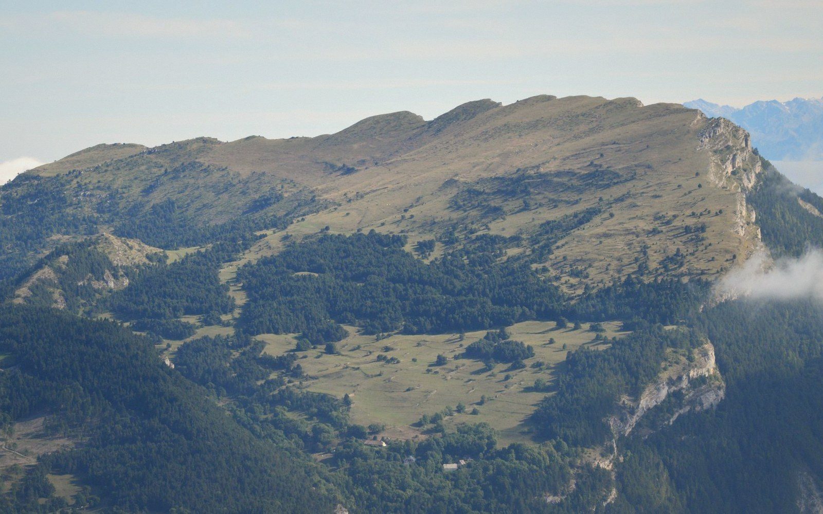 Rolling green pastures and forested slopes lead up to the bare summit of Petit Luberon
