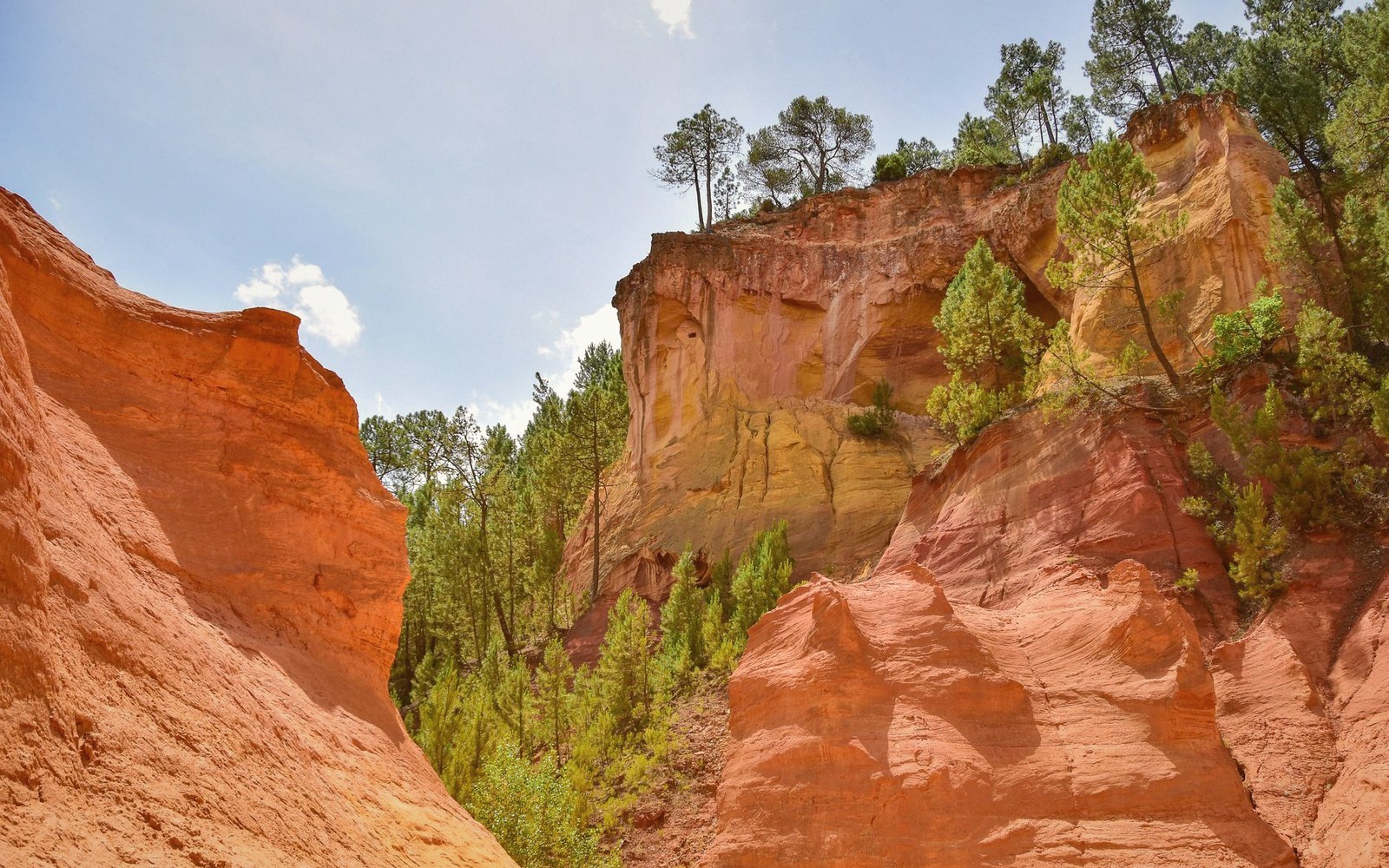 Ochre cliffs rise above a wooded ravine with trees lining the ridge
