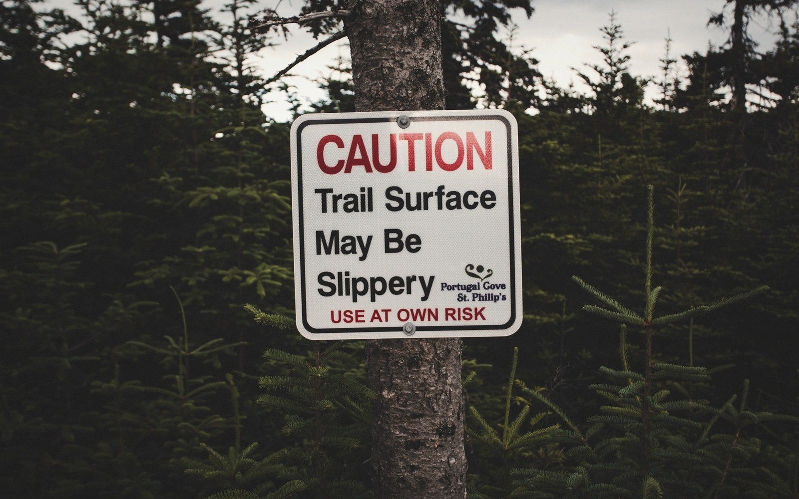 Caution sign warning that trail surface may be slippery, mounted on a tree
